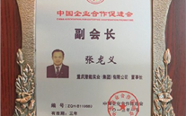 中国企业相助增进会副会长