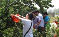 河北公司采摘运动