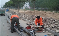 金乡公司捉住机缘营生长，艰辛创业拓绚烂