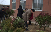 “绿色多一点、家园美一点”—成武县88858cc永利官网燃气公司3.12植树节运动