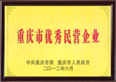 重庆市优异民营企业