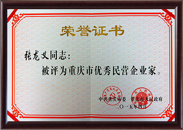 重庆优异民营企业家