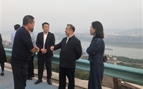 张龙义董事长比及大渡口金鳌村对接事情