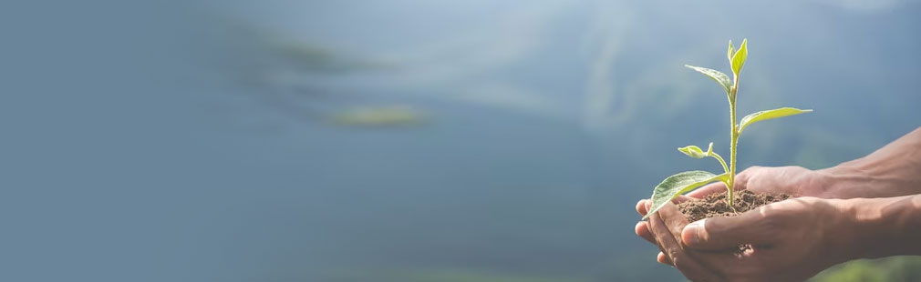 88858cc永利官网人