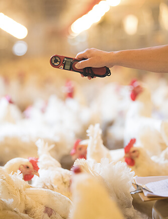 糖果派对游戏官网 - 首页