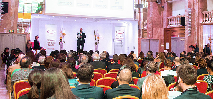 糖果派对游戏官网 - 首页