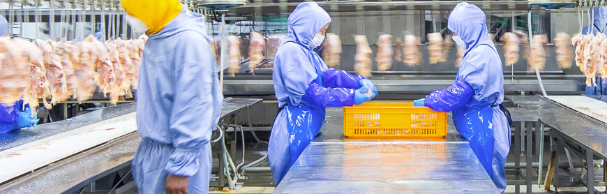 糖果派对游戏官网 - 首页