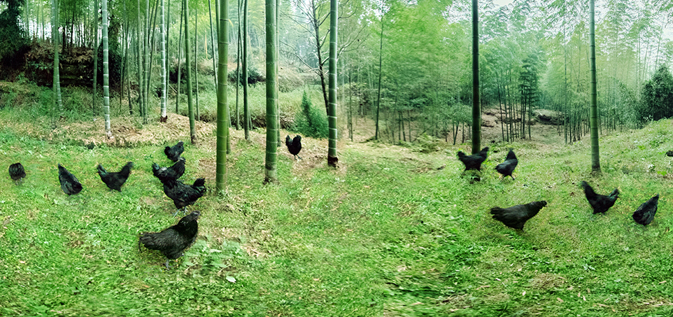 糖果派对游戏官网 - 首页