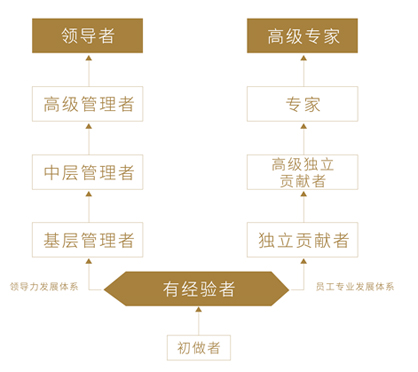 糖果派对游戏官网 - 首页