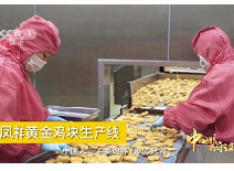 糖果派对游戏官网 - 首页