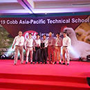 糖果派对游戏官网 - 首页