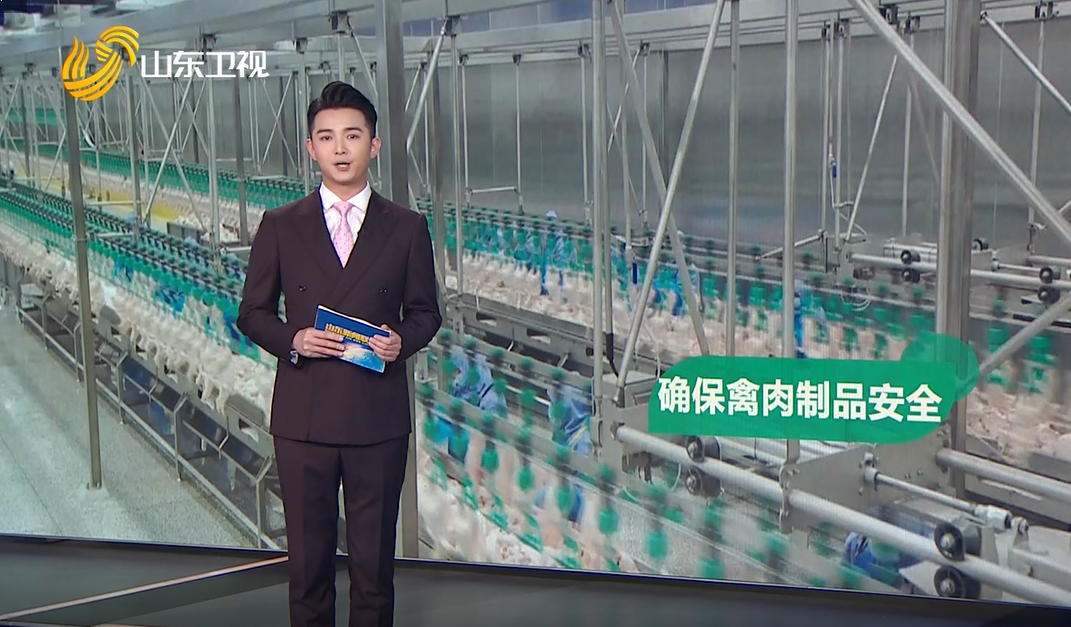 糖果派对游戏官网 - 首页