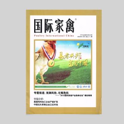 糖果派对游戏官网 - 首页