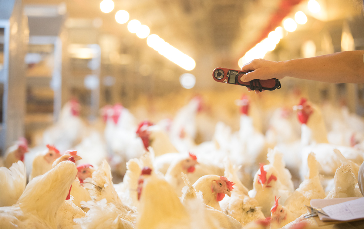 糖果派对游戏官网 - 首页