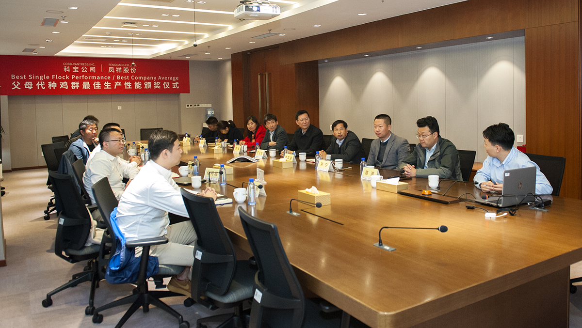 糖果派对游戏官网 - 首页