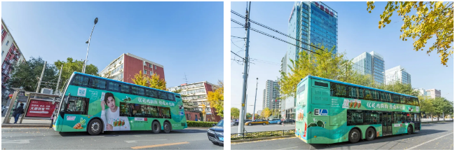 糖果派对游戏官网 - 首页