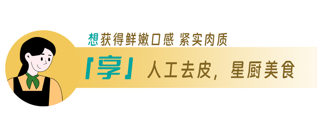糖果派对游戏官网 - 首页